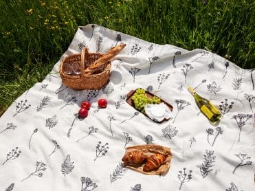pled polne rośliny - MUMLA