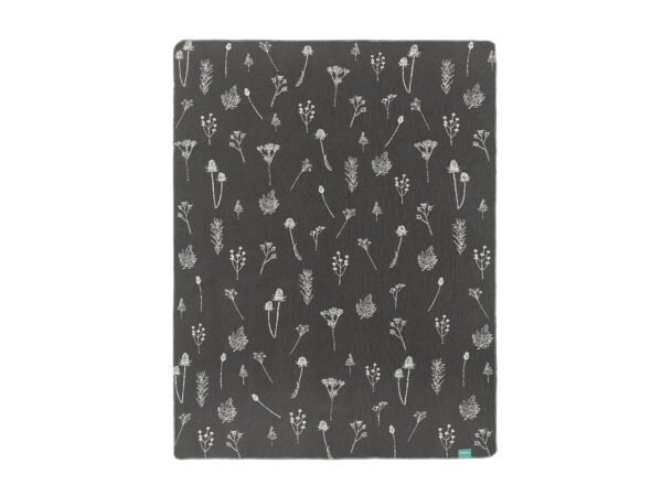 pled rośliny - MUMLA