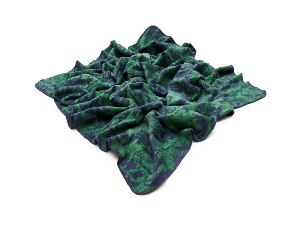 koc-paprocie---MUMLA