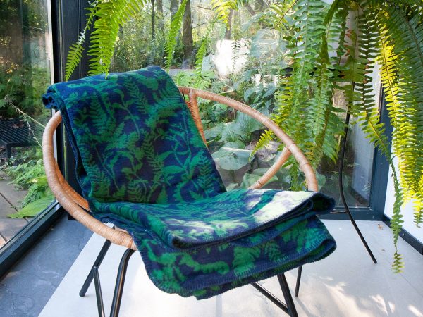 koc-paprocie---MUMLA