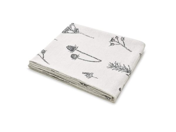 pled polne rośliny - MUMLA