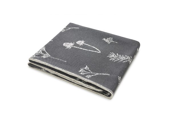 pled polne rośliny - MUMLA