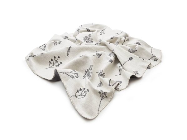 pled polne rośliny - MUMLA