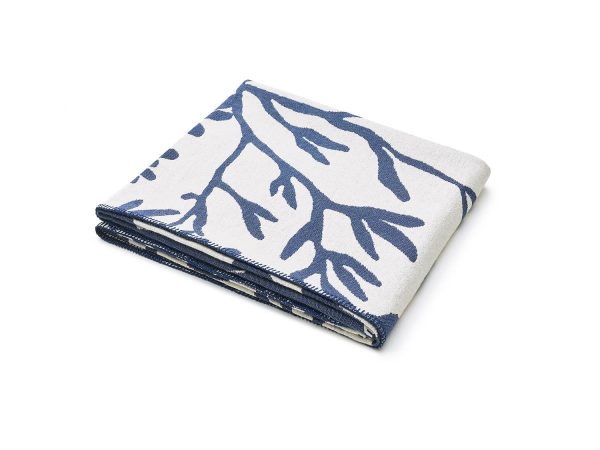 pled - wodorosty - MUMLA