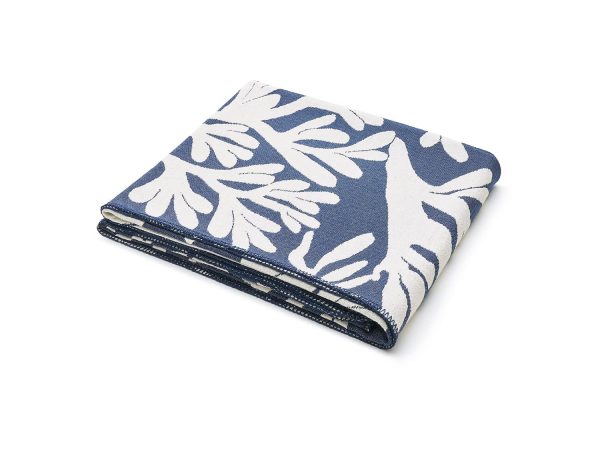 pled - wodorosty - MUMLA