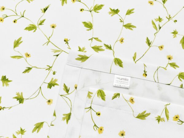 obrus jaskry - MUMLA