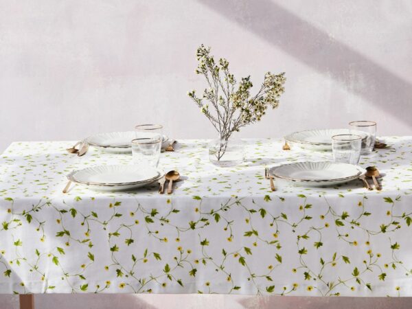 obrus jaskry - MUMLA