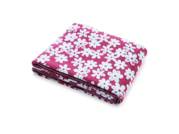 koc fioletowe kwiaty - MUMLA