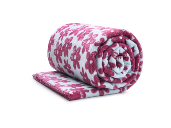 koc fioletowe kwiaty - MUMLA