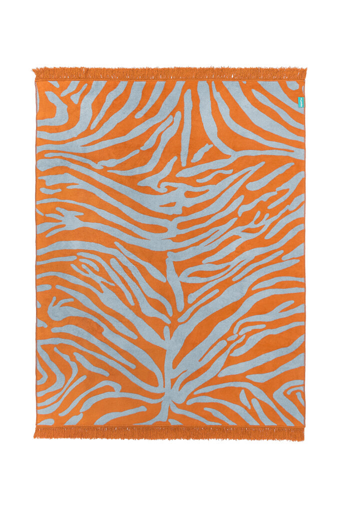 koc zebra - MUMLA