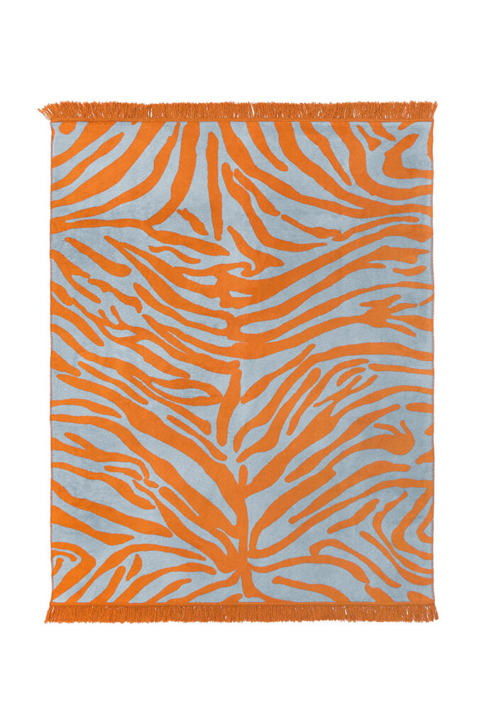 koc zebra - MUMLA