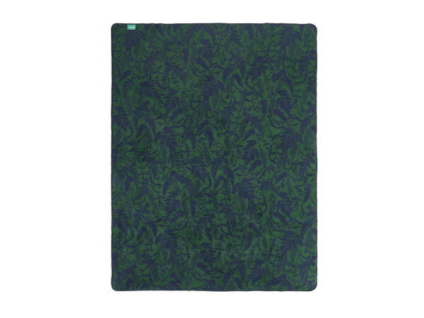 koc paprocie - MUMLA