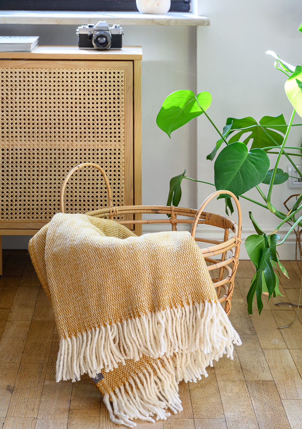 wolldecke nord senf - MUMLA