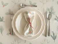 serviette winterliche zweige - MUMLA