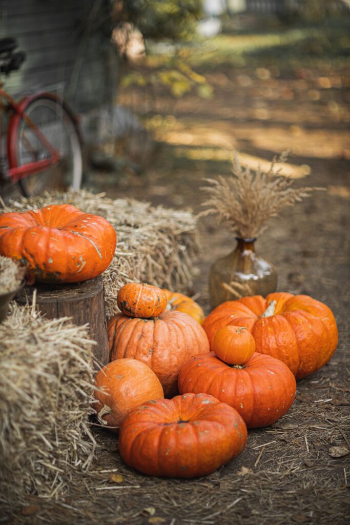 Dekoracje na Halloween – poradnik MUMLA